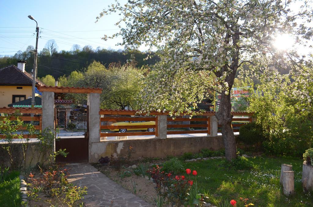 Villa Ribaritsa Eksteriør bilde