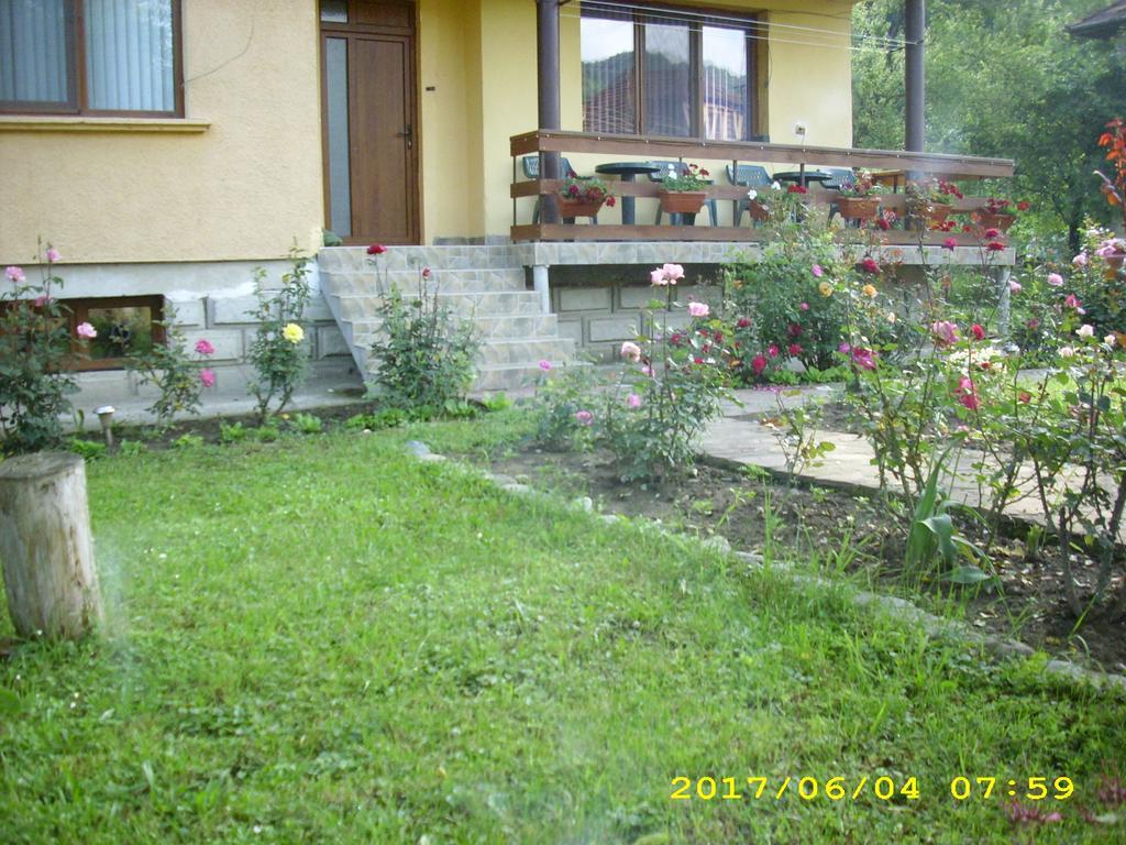 Villa Ribaritsa Eksteriør bilde