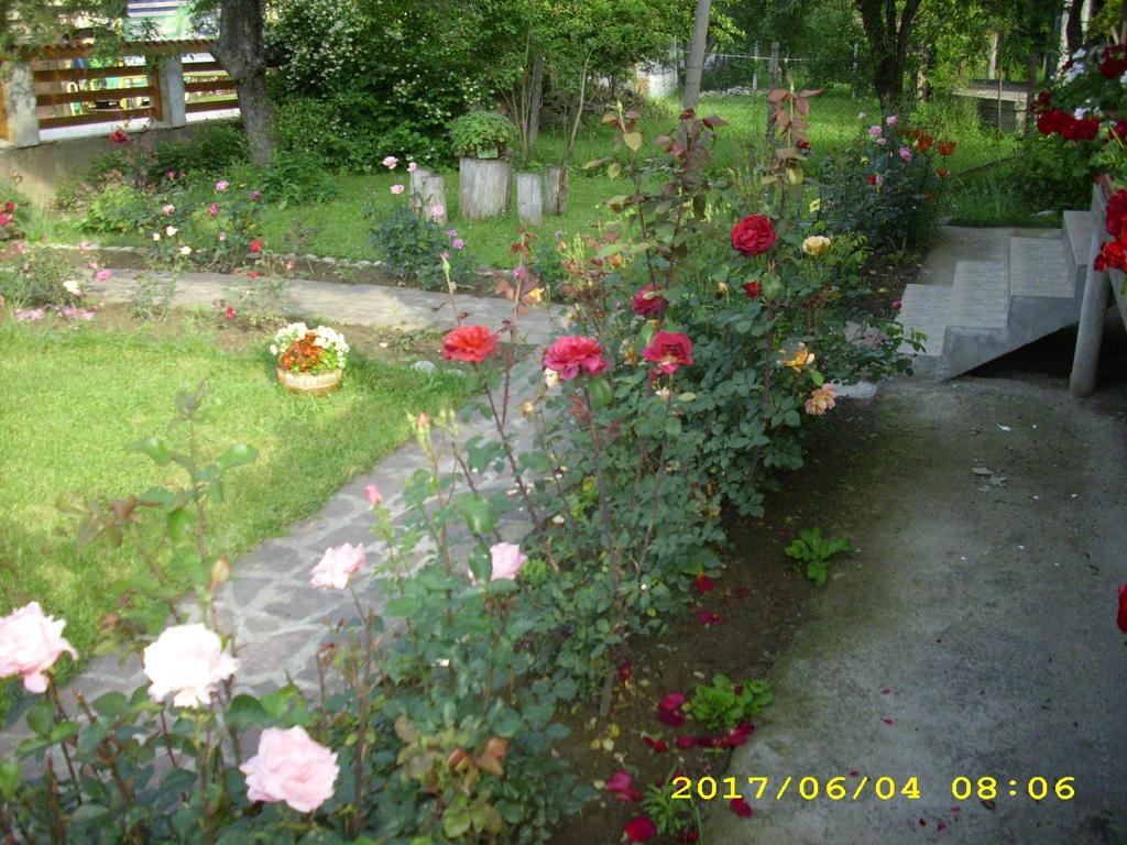 Villa Ribaritsa Eksteriør bilde