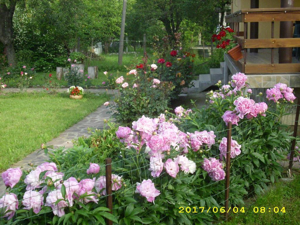 Villa Ribaritsa Eksteriør bilde