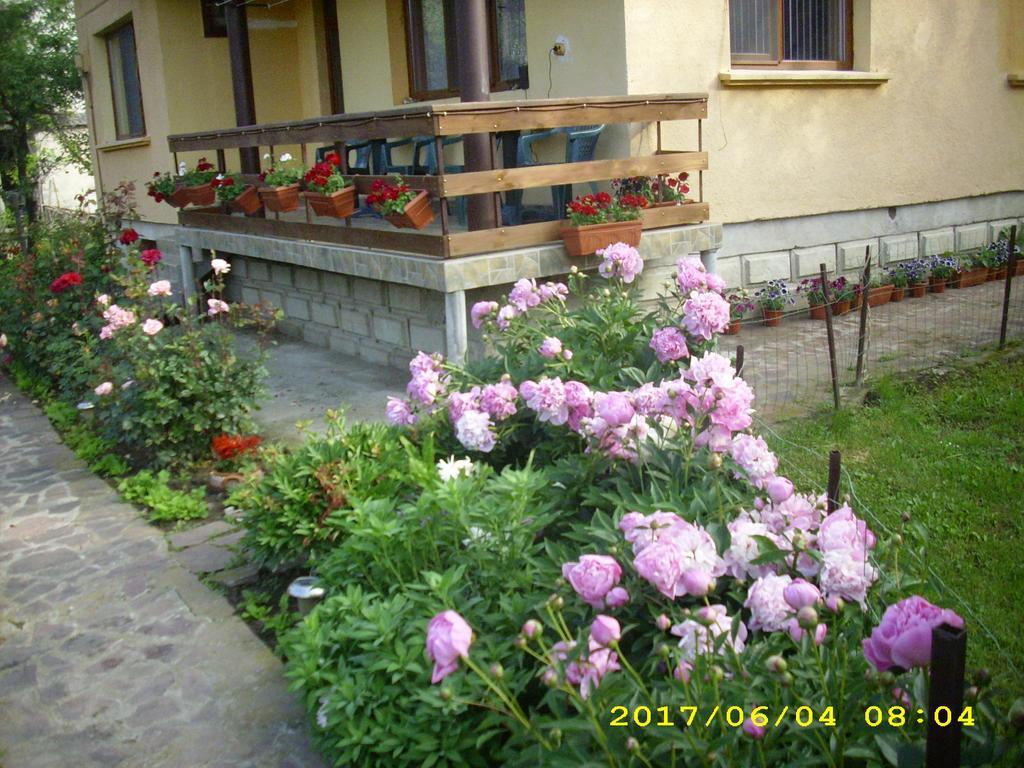Villa Ribaritsa Eksteriør bilde