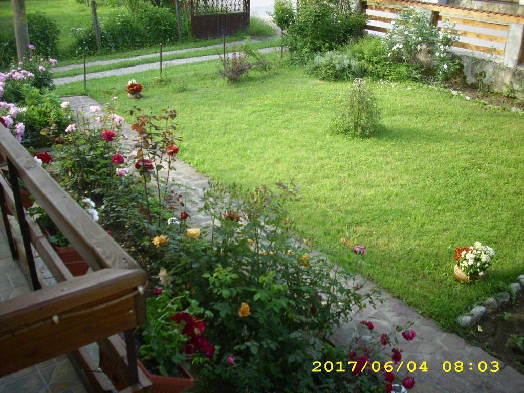 Villa Ribaritsa Eksteriør bilde