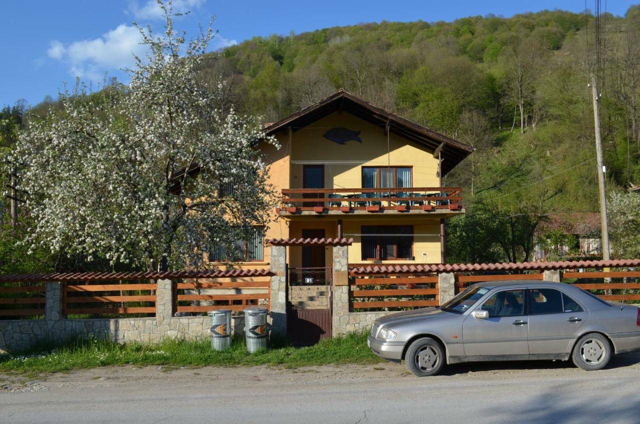 Villa Ribaritsa Eksteriør bilde